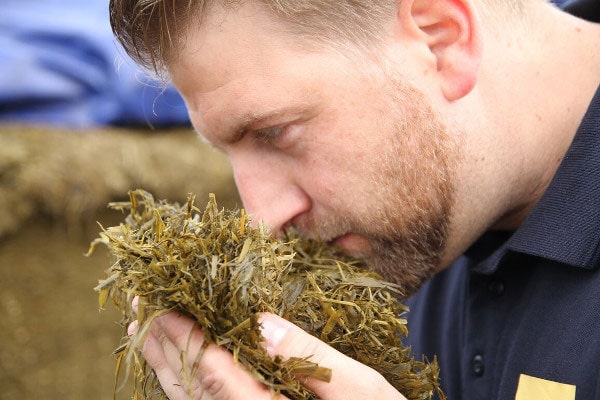 Control sensorial del silo - Detección y tratamiento de los síntomas de una mala fermentación del silo