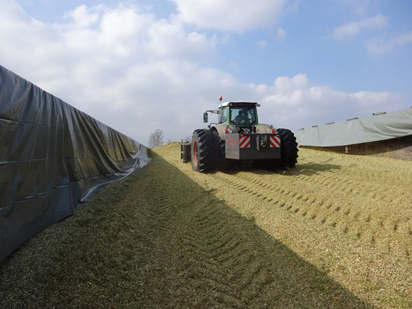 JOSILAC silo during compaction